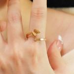 DLHP Elegant Cubic Zirconia Butterfly Ring – Adjustable Stainless Steel Open Ring for Women